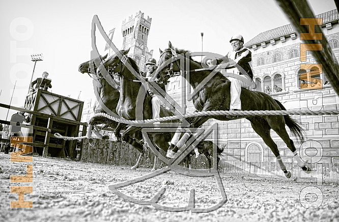 PALIO DI LEGNANO 2015