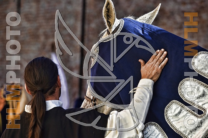 Palio di Asti 2015. Inediti Palio di Asti 2015. Inediti