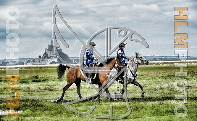 World Equestrian Game