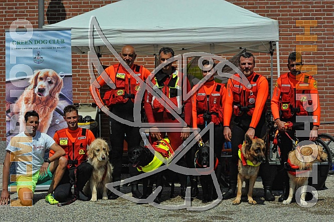 Working Dogs