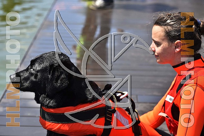 Working Dogs Working Dogs