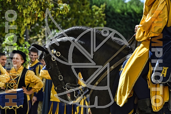 Palio di Asti 2015. Inediti Palio di Asti 2015. Inediti