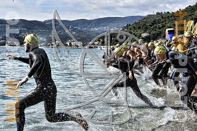 SWIM THE ISLAND SWIM THE ISLAND