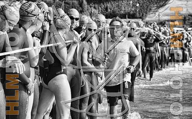 SWIM THE ISLAND