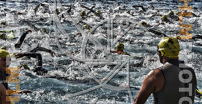 SWIM THE ISLAND