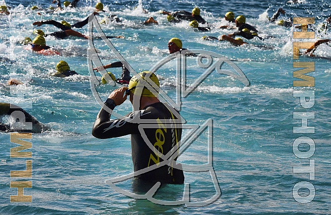 SWIM THE ISLAND