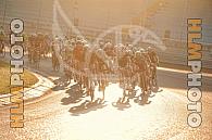 12H Cycling Marathon