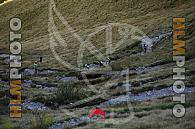 GRIGNE SKYMARATHON 2025 - teleobiettivo