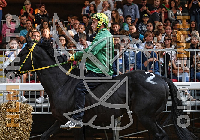 Il Palio. Batteria e finale Borgo San Lazzaro Il Palio. Batteria e finale Borgo San Lazzaro