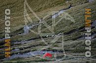 GRIGNE SKYMARATHON 2025 - teleobiettivo