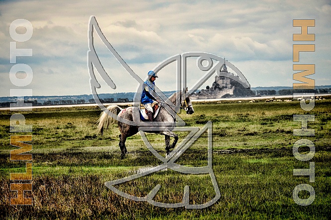 World Equestrian Game World Equestrian Game