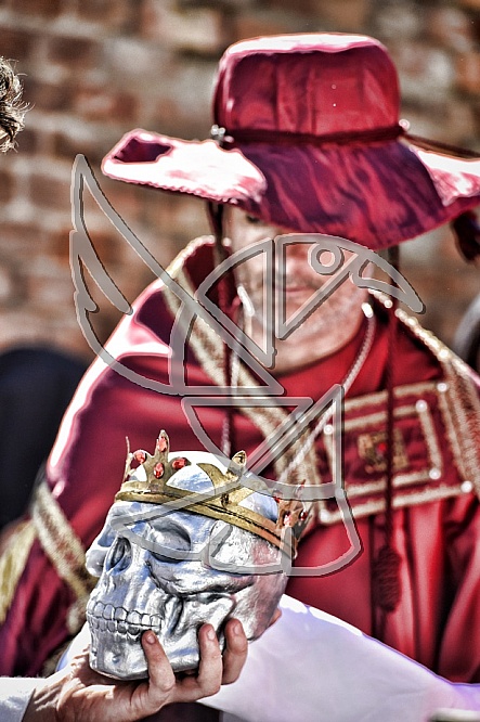 Palio di Asti 2015. Inediti Palio di Asti 2015. Inediti